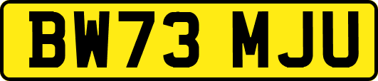 BW73MJU