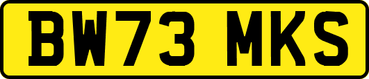 BW73MKS