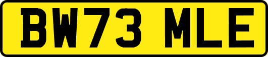 BW73MLE