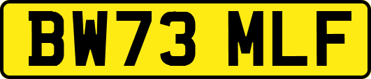 BW73MLF
