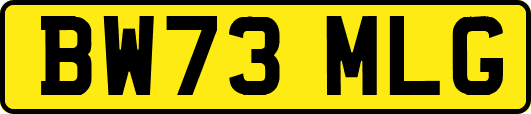 BW73MLG