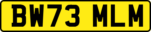 BW73MLM