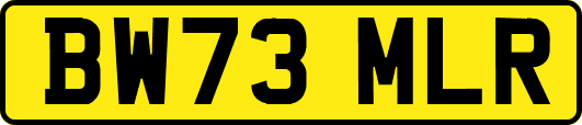 BW73MLR