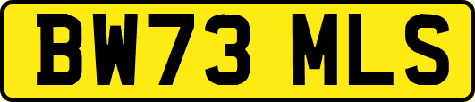 BW73MLS