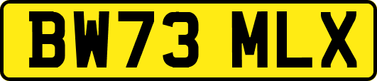 BW73MLX