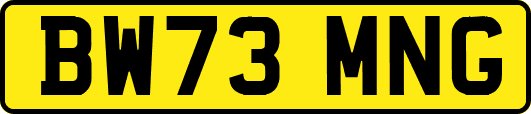 BW73MNG