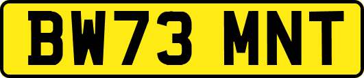 BW73MNT