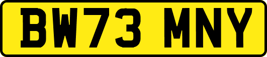 BW73MNY