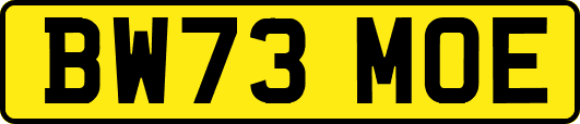 BW73MOE