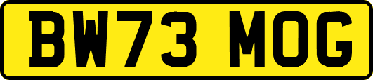 BW73MOG