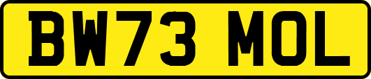 BW73MOL