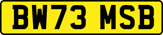 BW73MSB