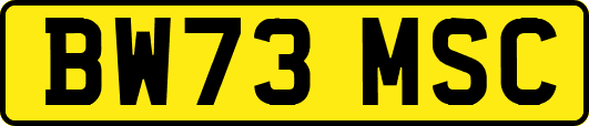 BW73MSC