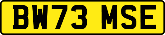 BW73MSE