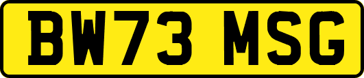 BW73MSG