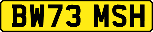 BW73MSH
