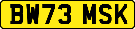 BW73MSK