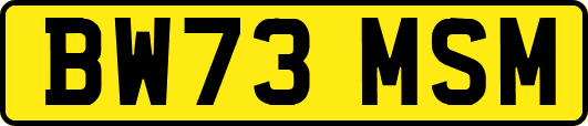 BW73MSM
