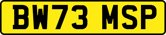 BW73MSP