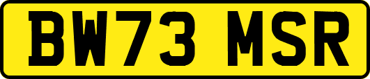BW73MSR