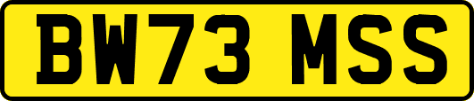 BW73MSS