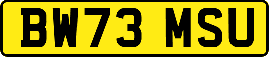 BW73MSU