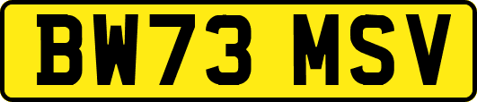 BW73MSV