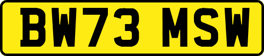 BW73MSW