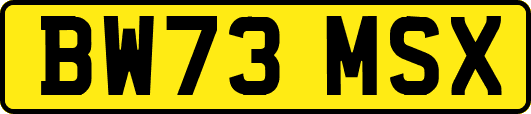BW73MSX