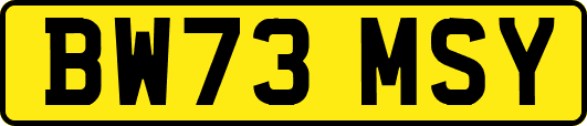 BW73MSY