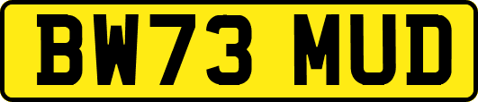 BW73MUD