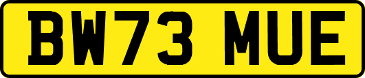 BW73MUE
