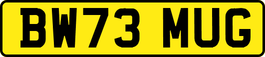 BW73MUG
