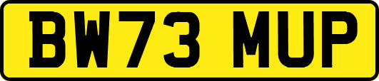 BW73MUP