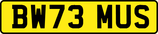 BW73MUS