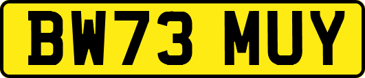 BW73MUY