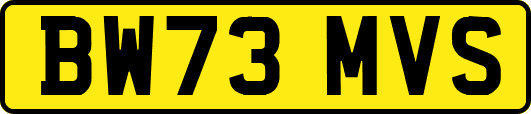 BW73MVS