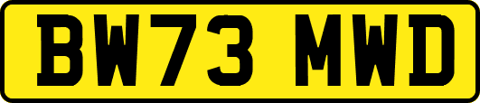 BW73MWD