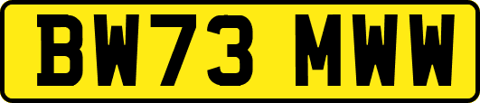 BW73MWW