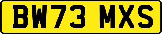 BW73MXS
