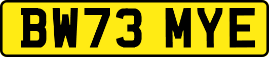 BW73MYE
