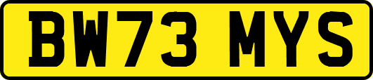 BW73MYS