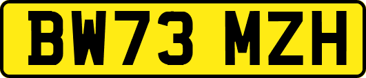 BW73MZH