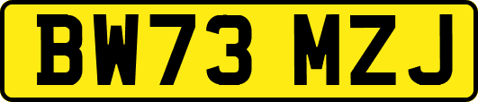 BW73MZJ