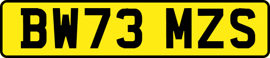 BW73MZS
