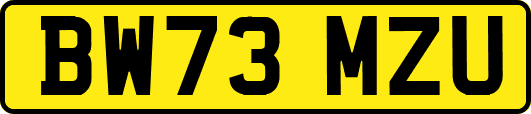 BW73MZU
