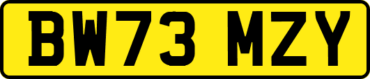 BW73MZY