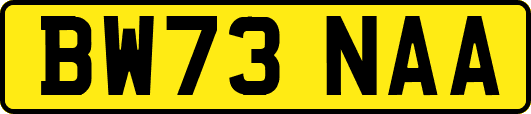 BW73NAA