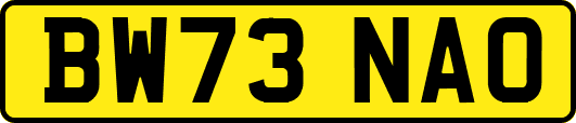 BW73NAO