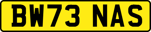 BW73NAS